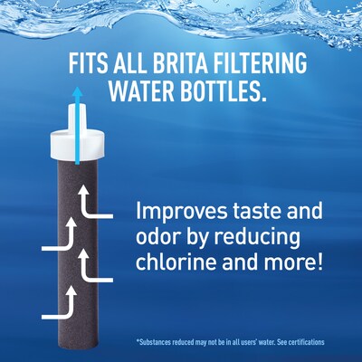 Brita Stainless Steel Filtered Water Bottle, 20 oz., Carbon (36447)