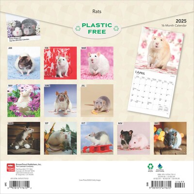 2025 BrownTrout Rats 12 x 12 Monthly  Wall Calendar (9781975477615)