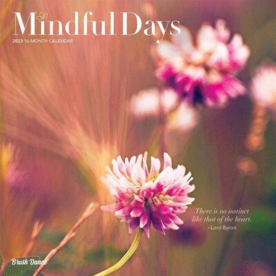 2023 Brush Dance Mindful Days 12 x 12 Monthly Wall Calendar (9781975454647)