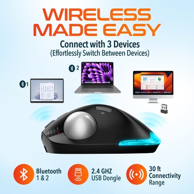 Delton T100 Wireless Ergonomic Trackball USB Mouse, Black (DMST100-WB)