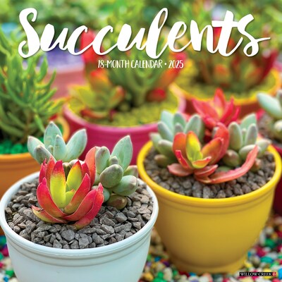 2025 Willow Creek Succulents 12 x 12 Monthly Wall Calendar (45022)