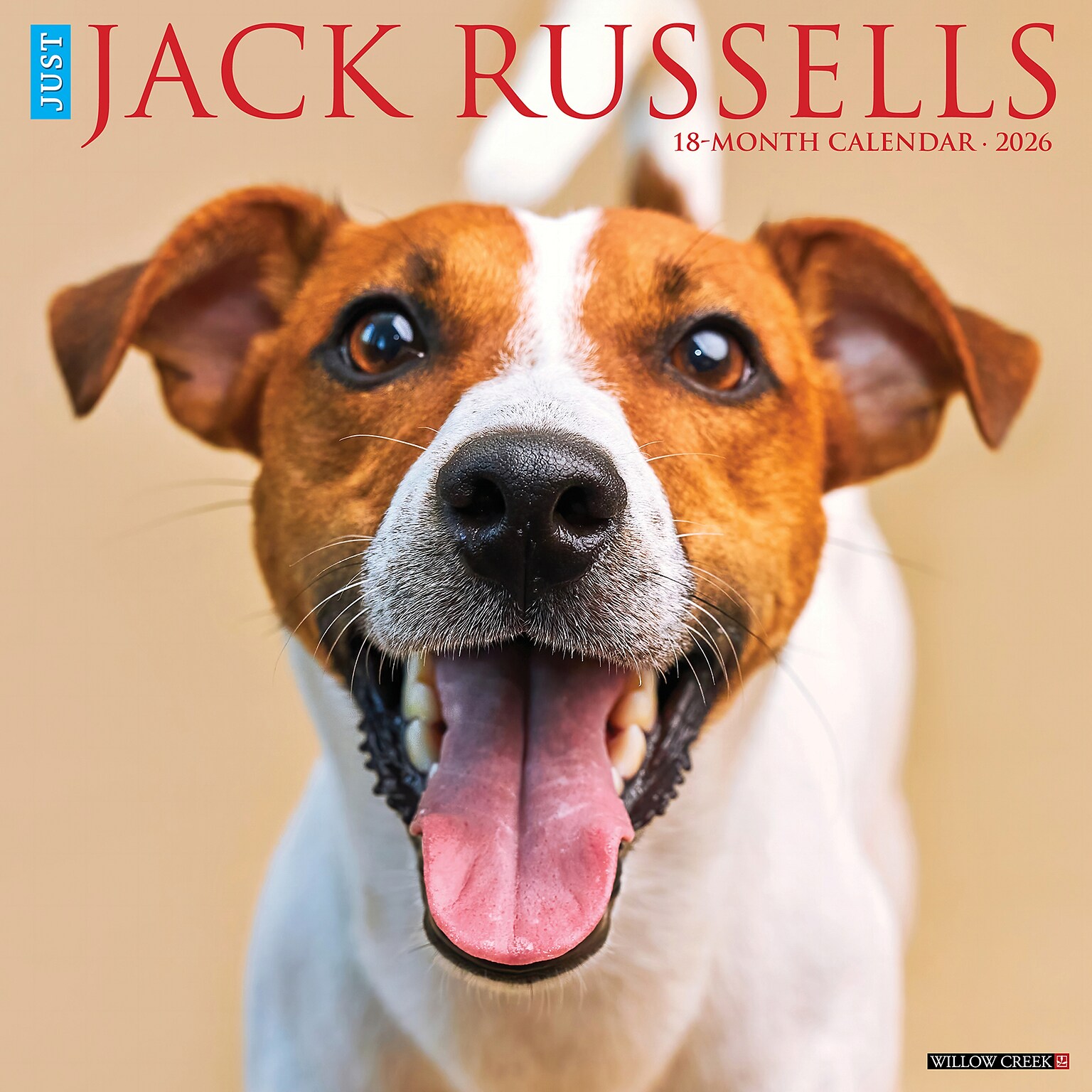2026 Willow Creek Jack Russells 12 x 12 Monthly Wall Calendar (51627)