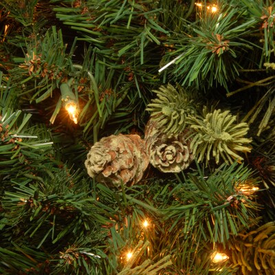 National Tree Company 12 ft. Pre-Lit Slim Carolina Pine Artificial Christmas Tree with Clear Lights (CAP3-330-120)