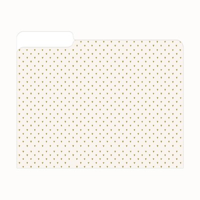 Blue Sky Bespoke File Folder, 1-Tab, Assorted, Letter Size, 6/Pack (155612)