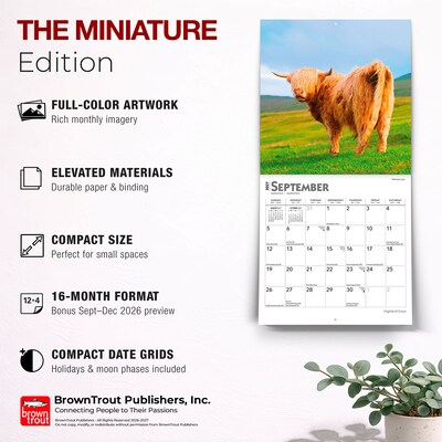 2027 BrownTrout Highland Cows 7" x 7" Monthly Wall Calendar (9798330714247)