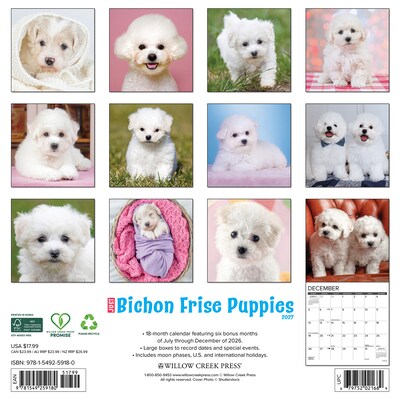2027 Willow Creek Bichon Frise Puppies 12 x 12 Monthly Wall Calendar, Assorted Colors (59180)