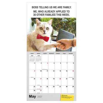 2027 TF Publishing Corporate Cats 12" x 12" Monthly Wall Calendar (27-1005)
