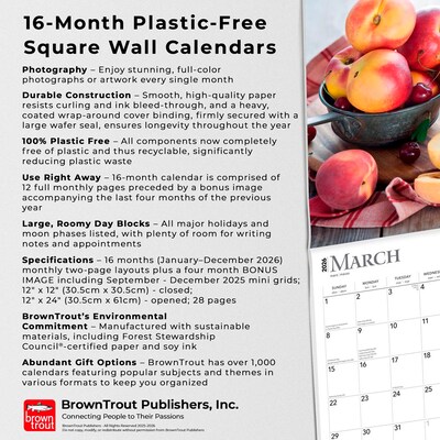 2026 BrownTrout Kitchen 12" x 12" Monthly Wall Calendar (9798330704071)