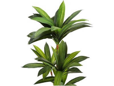 Monarch Specialties Inc. Dracaena in Pot (I 9543)