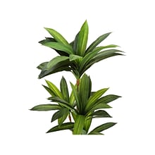 Monarch Specialties Inc. Dracaena in Pot (I 9543)