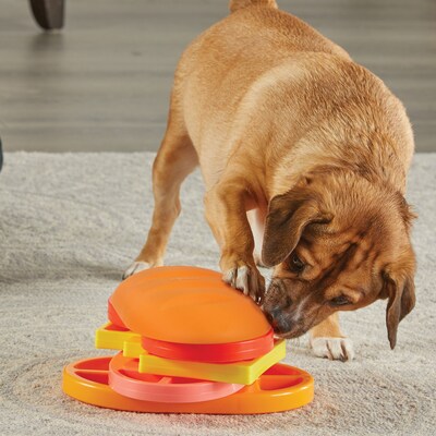 Brightkins Pupstrami Surprise! Treat Puzzle, Multicolored, 4 Pieces (LER9404)