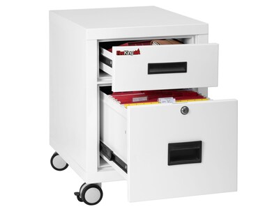 FireKing 2-Drawer Mobile Vertical File Cabinet, Letter/Legal Size, Lockable, Fire Resistant, Arctic