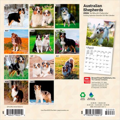 2026 BrownTrout Australian Shepherds 7 x 7 Monthly Wall Calendar (9798330702213)