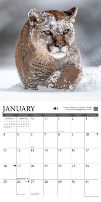 2026 Willow Creek Call of the Wild 12" x 12" Monthly Wall Calendar (50507)