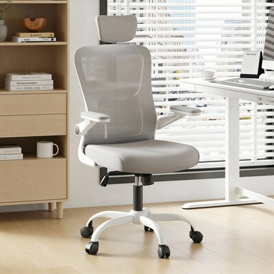 FlexiSpot Pro Comfort Swivel Computer and Desk Chair, Gray (OC1GY-SD-DP)