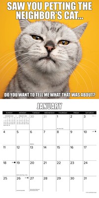 2026 Willow Creek Cat-astrophe 12" x 12" Monthly Wall Calendar (50606X)