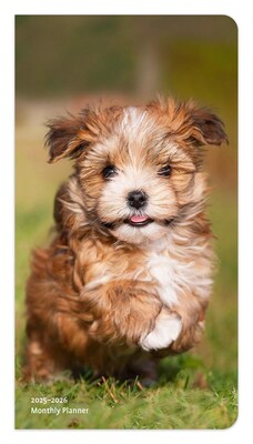 2025 BrownTrout I Love Puppies 3.5 x 6.5 Monthly Two Year Pocket Planner, Paper Cover, Multicolored (9781975474379)