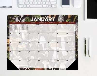 2026 Willow Creek Monthly Mushrooms 22" x 17" Monthly Desk Pad Calendar (57247)