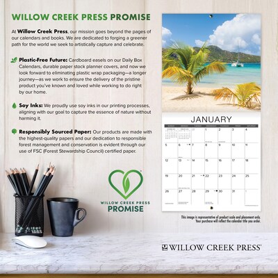 2026 Willow Creek Tuxedo Cats 12" x 12" Monthly Wall Calendar (53034)