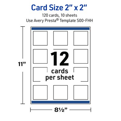 Avery Silver-Holly Sparkles Matte Blank Card, White, 120/Pack (S00-FHH)