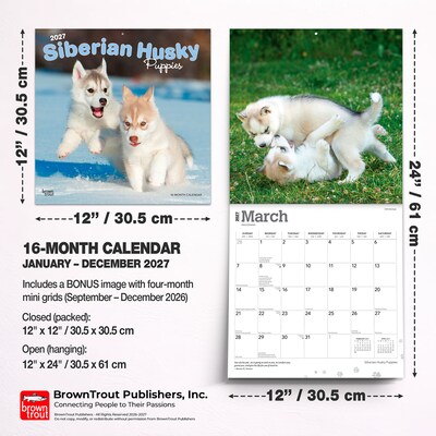 2027 BrownTrout Siberian Husky Puppies 12" x 12" Monthly Wall Calendar (9798330712700)