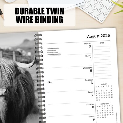 2026 Willow Creek Highland Cows 6.5" x 8.5" Daily & Monthly Personal Organizer (58480)