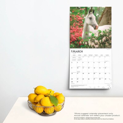 2025 BrownTrout Arabians 12" x 12" Monthly Wall Calendar (9781975483715)