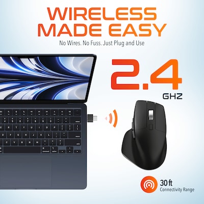 Delton S18 Wireless Ergonomic Optical Mouse, Black (DMS18-WB)