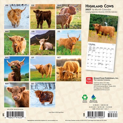 2027 BrownTrout Highland Cows 7 x 7 Monthly Wall Calendar (9798330714247)