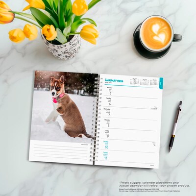 2026 BrownTrout I Love Puppies 6.5" x 7.75" Weekly Planner (9798330705269)