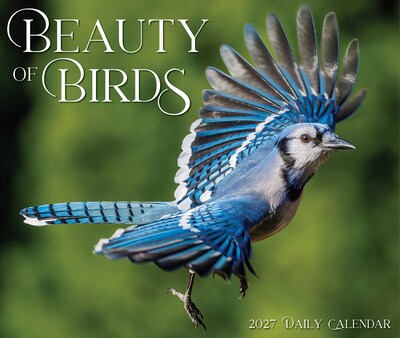 2027 Willow Creek Beauty of Birds 6.2" x 5.4" Daily Day-to-Day Calendar, Assorted Colors (65846)
