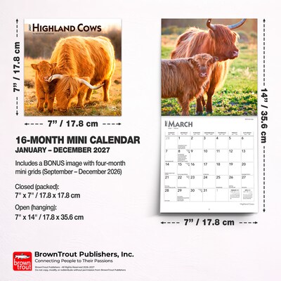 2027 BrownTrout Highland Cows 7" x 7" Monthly Wall Calendar (9798330714247)