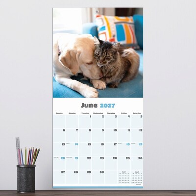 2027 TF Publishing Furry Friends 12" x 12" Monthly Wall Calendar (27-1011)