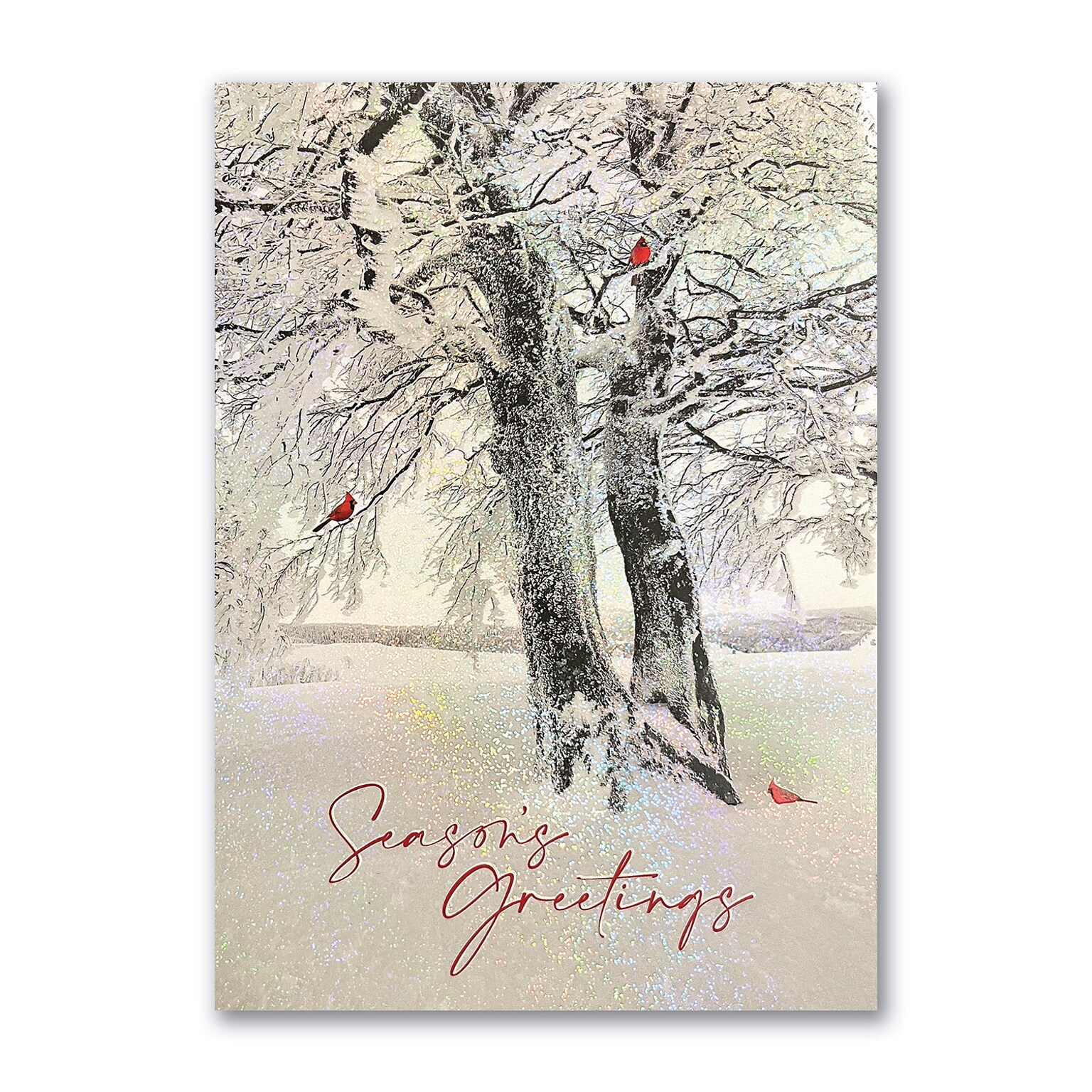 Winter Stillness Cards, with Envelopes, 5 5/8 x 7 7/8 Holiday Card, 25 Cards per Set