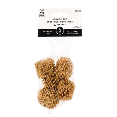 FolkArt Synthetic Sponge, 5/Pack, 6 Packs/Bundle (FLK30179R-6)