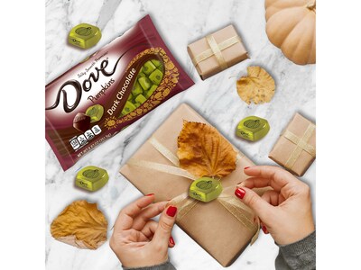 Dove Promises Pumpkins Bite-Size Dark Chocolate Pieces, 8.87 oz. (440837)