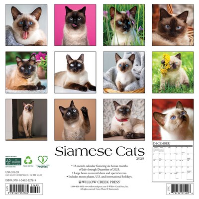 2026 Willow Creek Siamese Cats 12 x 12 Monthly Wall Calendar (52785)