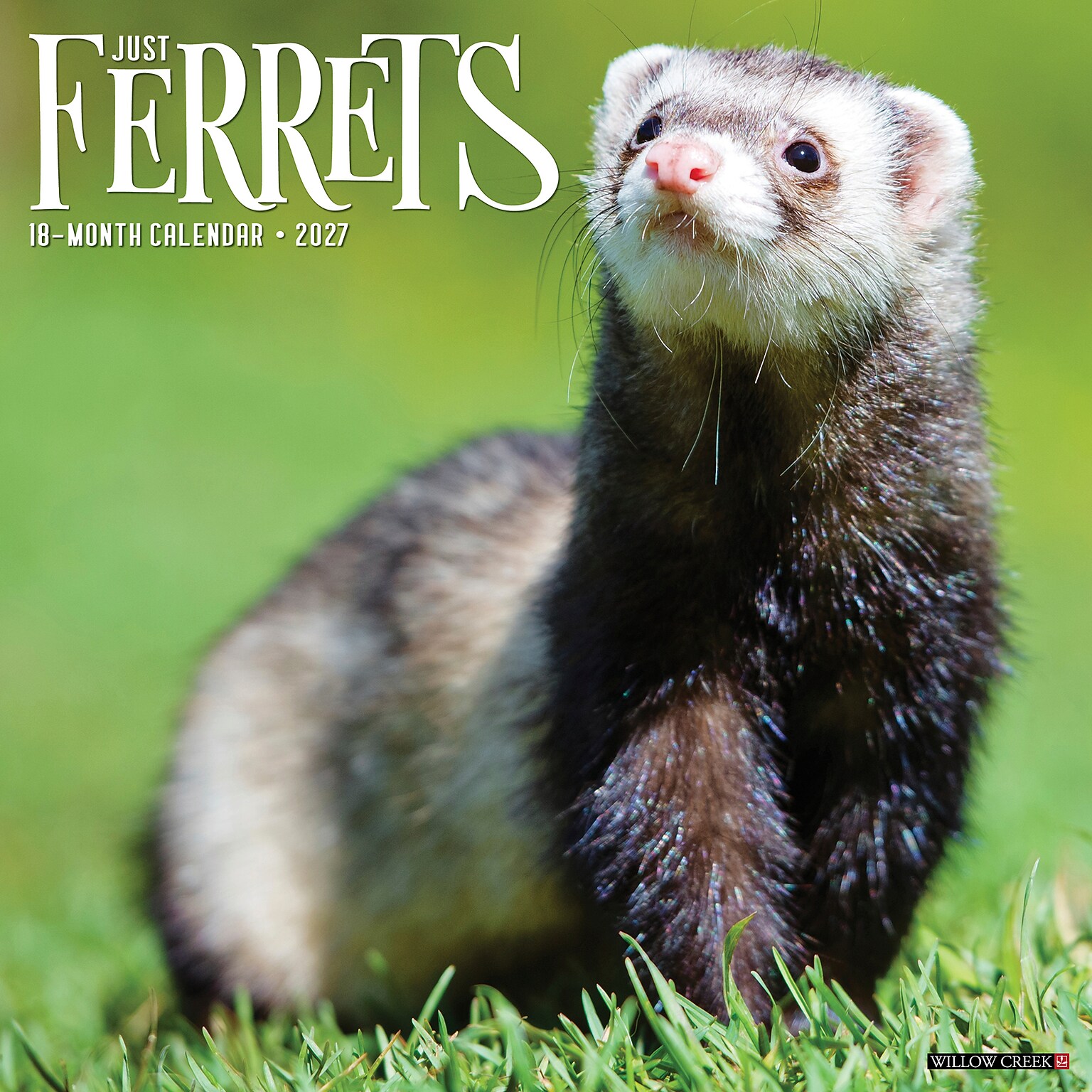 2027 Willow Creek Ferrets  12 x 12 Monthly Wall Calendar (60230)