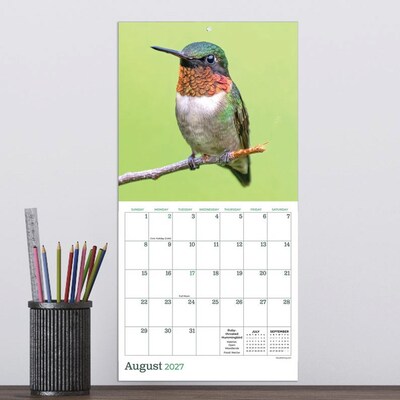 2027 TF Publishing Backyard Birds 7" x 7" Monthly Wall Calendar, Multicolored (27-2013)