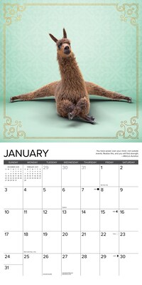 2027 Willow Creek Llama Yoga 12" x 12" Monthly Wall Calendar, Assorted Colors (61084)