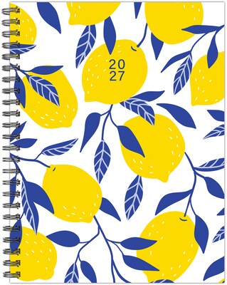 2027 Willow Creek Lemon Zest 6.5 x 8.5 Calendar Year Weekly & Monthly Standard Planner, Assorted Colors (67352)