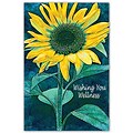 Medical Arts Press® Chiropractic Standard 4x6 Postcards; Sunflower Wishing Wellness