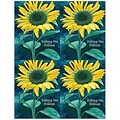Graphic Image Laser Postcards; Sunflower Wishing Wellness, 100/Pk