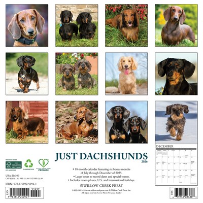 2026 Willow Creek Dachshunds 12 x 12 Monthly Wall Calendar (50941)