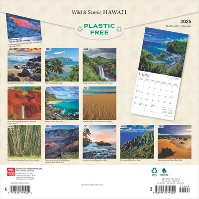 2025 BrownTrout Hawaii Wild & Scenic 12 x 12 Monthly  Wall Calendar (9781975474904)
