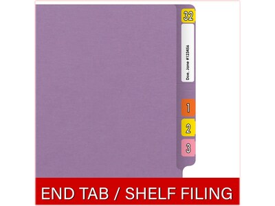 Medical Arts Press Reinforced End Tab File Folder, Straight Cut, Letter-Size, Lavender, 250/Carton (S-01602-LAV-B)