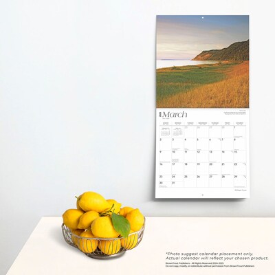 2025 BrownTrout Michigan Coast 12" x 12" Monthly  Wall Calendar (9781975475253)