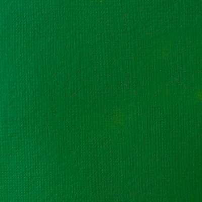 Liquitex BASICS Acrylic Paint Tube, Hookers Green Hue Permanent, 250 mL (LIQ4385224)