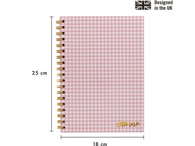 Carpe Diem Ballerina Pink Check 1-Subject Notebook, 7.5 x 9.75, Wide-Ruled, 80 Sheets, Pink/White