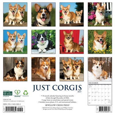 2027 Willow Creek Corgis 12 x 12 Monthly Wall Calendar, Assorted Colors (59852)